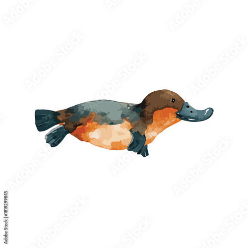 Adorable Platypus Swimming Wildlife Illustration.