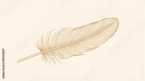 Detailed Feather Line Art Vector