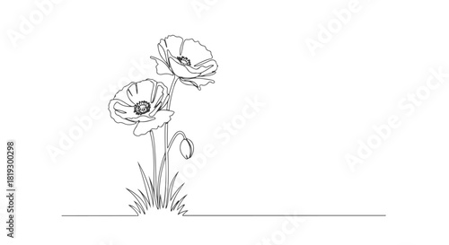 A beautiful illustration of two poppy flowers and a bud in a continuous single line art style, an elegant minimalist floral drawing. 3