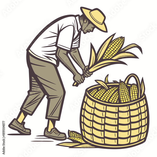 Farmer wearing a hat harvests corn and places it into a full woven basket during harvest season