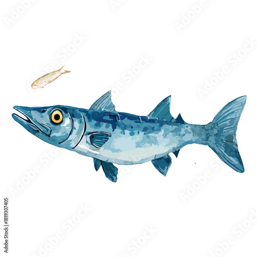 Blue Predatory Fish Hunting Small Prey Vector Illustration.