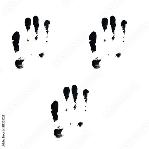 Simple, bold black handprints on a stark white background, probably those of a youngster.