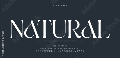 Elegant logo modern luxury alphabet font.  Typography elegant style alphabet fonts for beauty shop, decoration, business, boutique, fashion, brand, wedding, vintage design. vector illustration