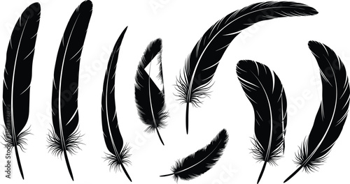 Collection of detailed bird feather black silhouettes, vector illustration isolated on white background, suitable for boho style design and tribal art decoration.