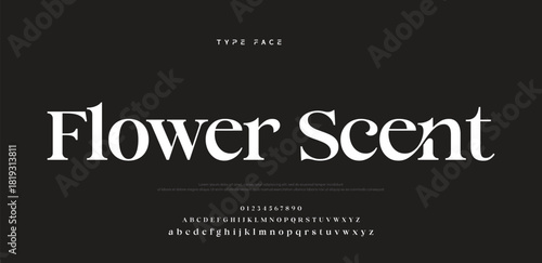 Elegant logo modern luxury alphabet font.  Typography elegant style alphabet fonts for beauty shop, decoration, business, boutique, fashion, brand, wedding, vintage design. vector illustration