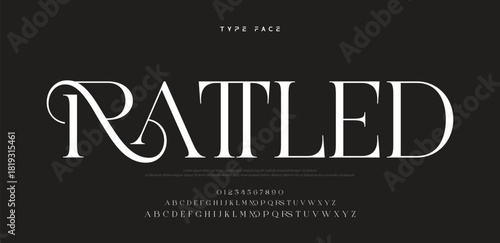 Elegant logo modern luxury alphabet font.  Typography elegant style alphabet fonts for beauty shop, decoration, business, boutique, fashion, brand, wedding, vintage design. vector illustration