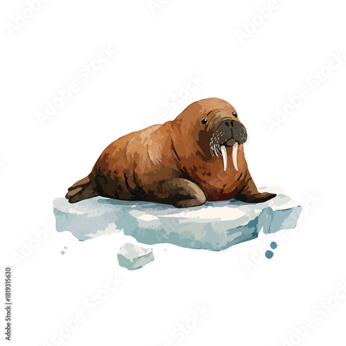 Brown Walrus on Ice Floe Arctic Animal Illustration.