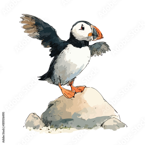 Charming Atlantic Puffin Bird Watercolor Illustration on Rock.