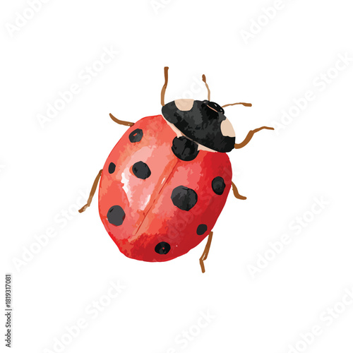 Charming Red Ladybug Watercolor Illustration for Nature Designs.