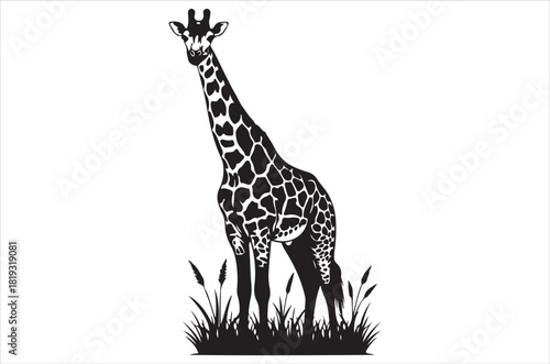 A striking black and white illustration of a giraffe in tall grass