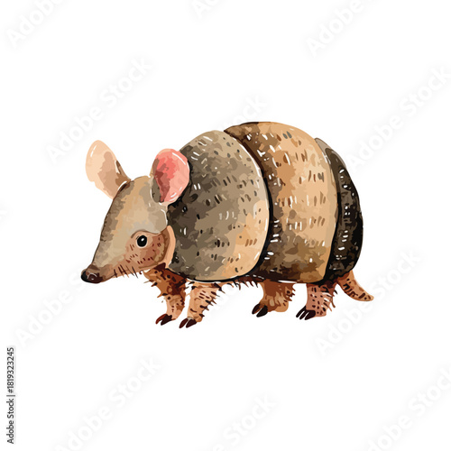 Cute Armadillo Watercolor Illustration Wild Animal Art 1.