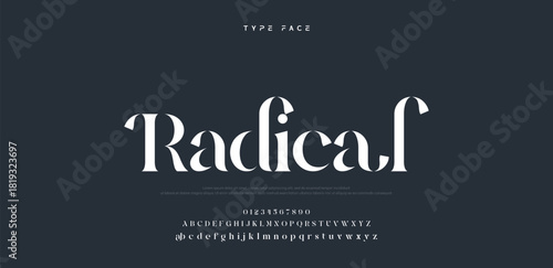 Beauty Luxury font alphabet logo. Typography beautiful fashion elegant classic letters serif italic fonts decorative wedding vintage blossom logos. vector illustration