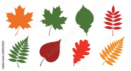 A vibrant collection of various autumn and spring leaves in green, red, and orange tones, showcasing botanical diversity in nature.