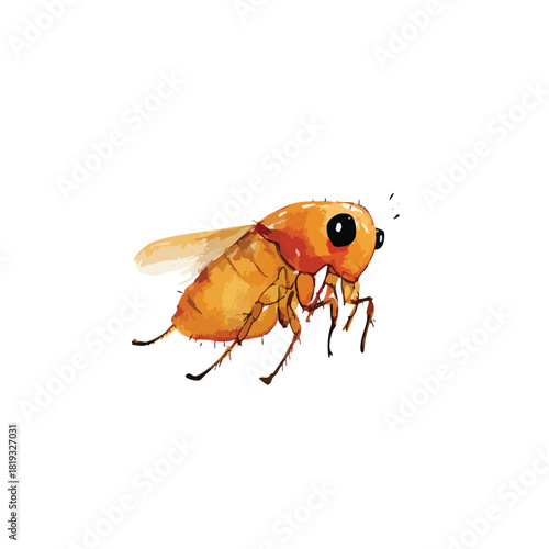 Cute Cartoon Flea Vector Illustration.