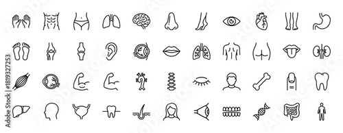 Anatomy and human body line icon set. Vector pictograms of organs, skeletal structures, senses, and body parts, thin linear illustration.