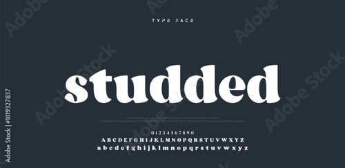 Beauty Luxury font alphabet logo. Typography beautiful fashion elegant classic letters serif italic fonts decorative wedding vintage blossom logos. vector illustration