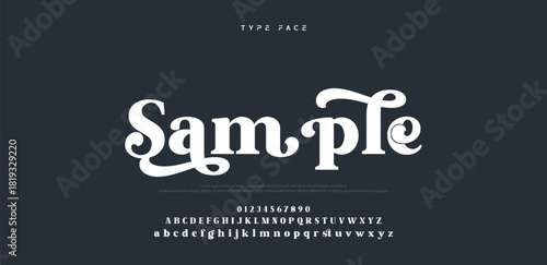 Beauty Luxury font alphabet logo. Typography beautiful fashion elegant classic letters serif italic fonts decorative wedding vintage blossom logos. vector illustration