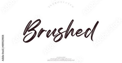 Best Alphabet Madison Street Calligraphy Signature Font lettering handwritten