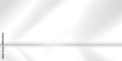 minimalist white room with sunlight streaming through window