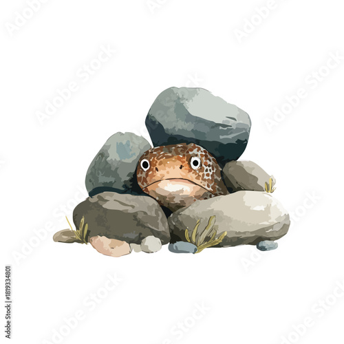 Cute Frog Peeking from Rocks Illustration 1.