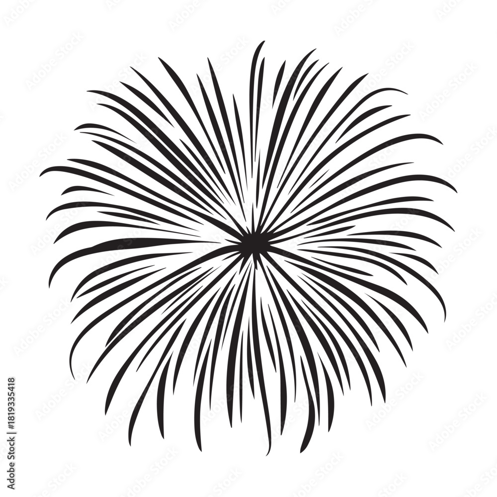 Fototapeta premium Fireworks silhouette, fireworks silhouette isolated on white background, celebratory explosion elements