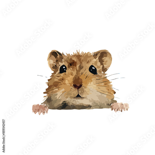 Cute Hamster Peeking Out Illustration Adorable Pet Animal.