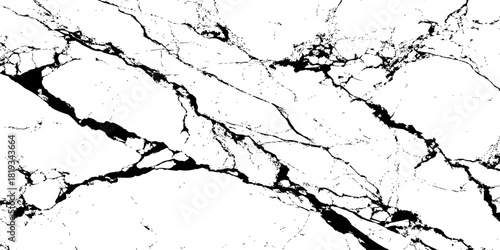 "Elegant white marble surface with rich black line patterns, natural stone texture ideal for luxury branding, editorial design, print projects and digital backgrounds."