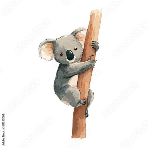 Cute Koala Bear Clinging to Tree Branch Watercolor Illustration.