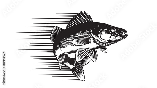 Dynamic walleye fish jumping out of water with speed streaks, ideal for fishing enthusiasts and sporting goods brands, create bold logos and eye catching posters today