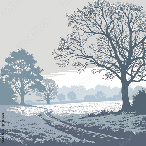 Bare winter trees cast long shadows across a frosty field with a winding dirt path