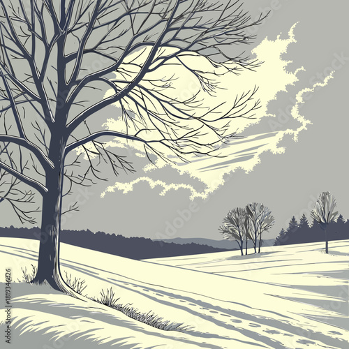 Bare winter tree casts long shadows across a snow covered field under a cloudy sky