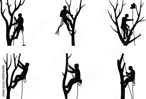 Set of six arborist silhouettes climbing and pruning trees with ropes and tools in black and white illustration