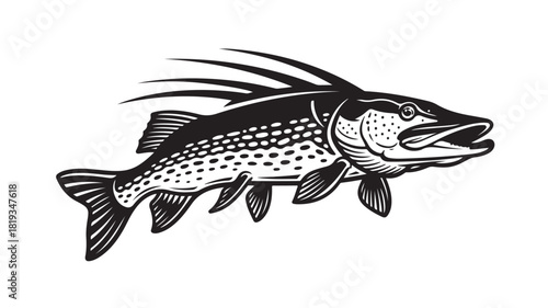Striking northern pike illustration perfect for fishing enthusiasts and outdoor brands, showcasing the beauty of freshwater wildlife for educational or promotional materials