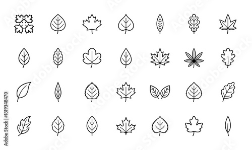 Nature line icon set. Vector pictograms of diverse leaf types, including maple, oak, serrated, lobed, broad, and narrow foliage, thin linear illustration.