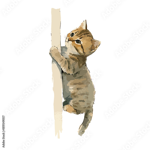 Cute Playful Kitten Climbing Pole Illustration Isolated Vector Art.