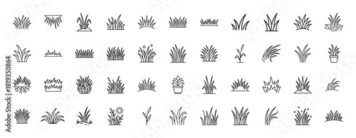 Nature line icon set. Vector pictograms of various grass types, blades, sprouts, tufts, clumps, and potted plants, thin linear illustration.