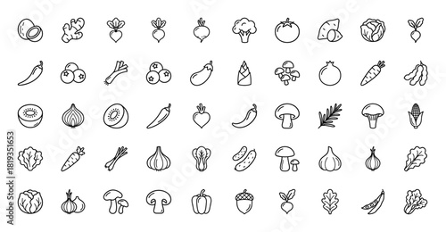 Diverse food and produce line icon set. Vector pictograms of broccoli, carrot, onion, mushroom, blueberry, kiwi, cabbage, corn, ginger, linear illustration.