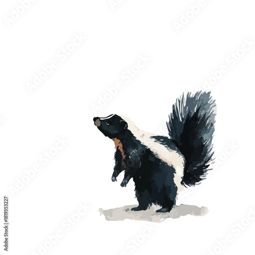 Cute Skunk Illustration Standing Up Isolated Wild Animal.