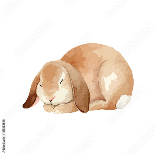 Cute Sleeping LopEared Rabbit Watercolor Illustration.