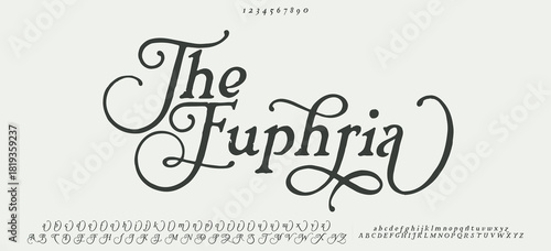 Elegant font alphabet uppercase lowercase and number. Classic lettering minimal fashion designs. Typography modern serif fonts regular decorative vintage concept. Vector illustration