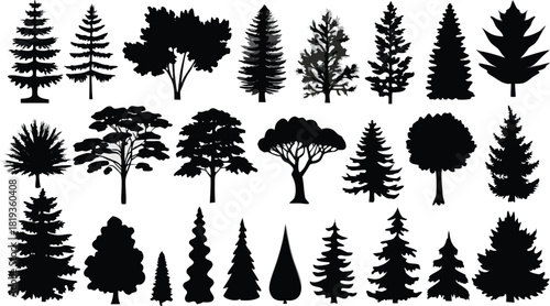 Diverse collection of tree silhouettes, evergreen and deciduous, perfect for graphic design elements.