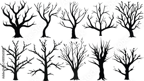 Collection of diverse bare tree silhouettes with intricate branches, perfect for graphic design elements