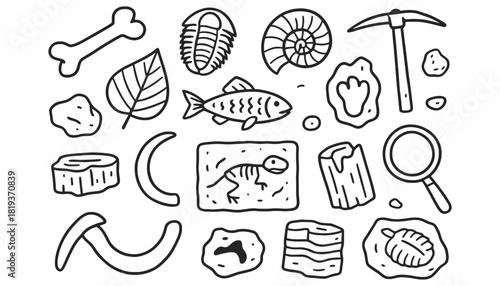 Discover paleontology fossils and ancient artifacts doodle art