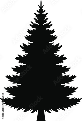 Silhouette of a tall, dense evergreen fir or spruce tree, perfectly symmetrical and for graphic design use