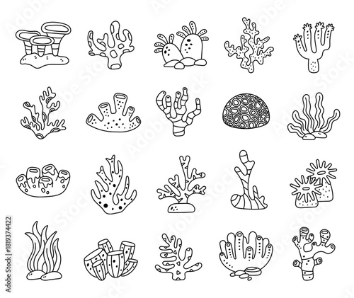 Coral reef set in outline line