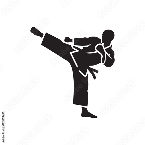 Martial artist silhouette performing a high kick, depicting strength and discipline, isolated on