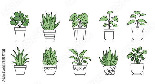A beautiful collection of ten different indoor house plants in decorative pots illustrated in a clean and modern line art style.