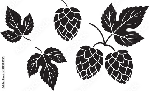 Black silhouette illustration of hop cones and leaves, isolated on white background