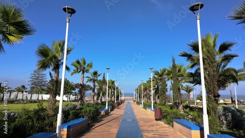 Palm-Lined Avenue with Long Perspective in Urban Moroccan Setting at 