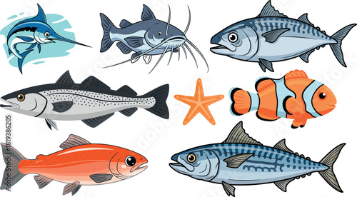 Collection of colorful hand drawn fish species illustration set